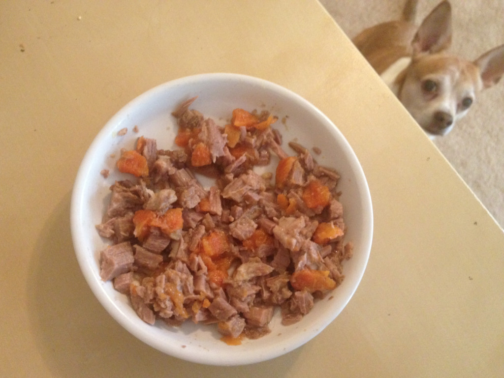 Homemade Pet Food Recipes