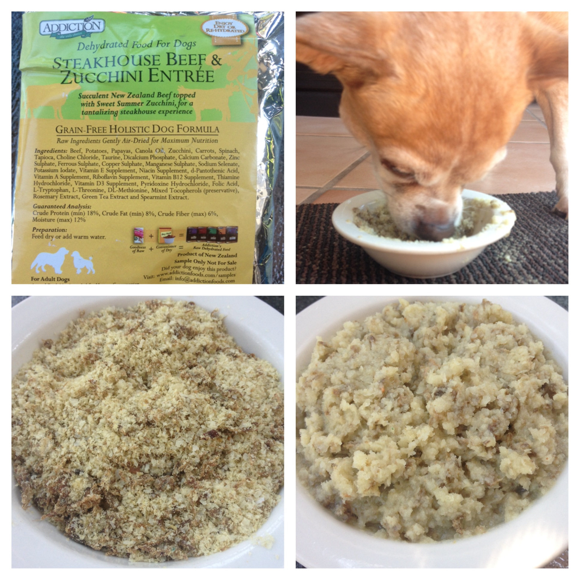 Honest Kitchen Grain Free Beef Recipe Dehydrated Dog Food Only Natural Pet