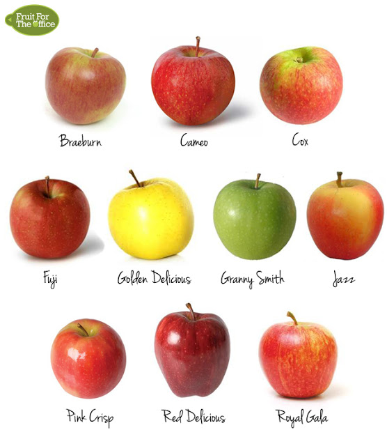 Choose the Right Apple - Baking, Snacking, Salads - The Jewish Lady