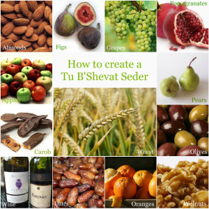 Tu B'Shevat Seder Collage