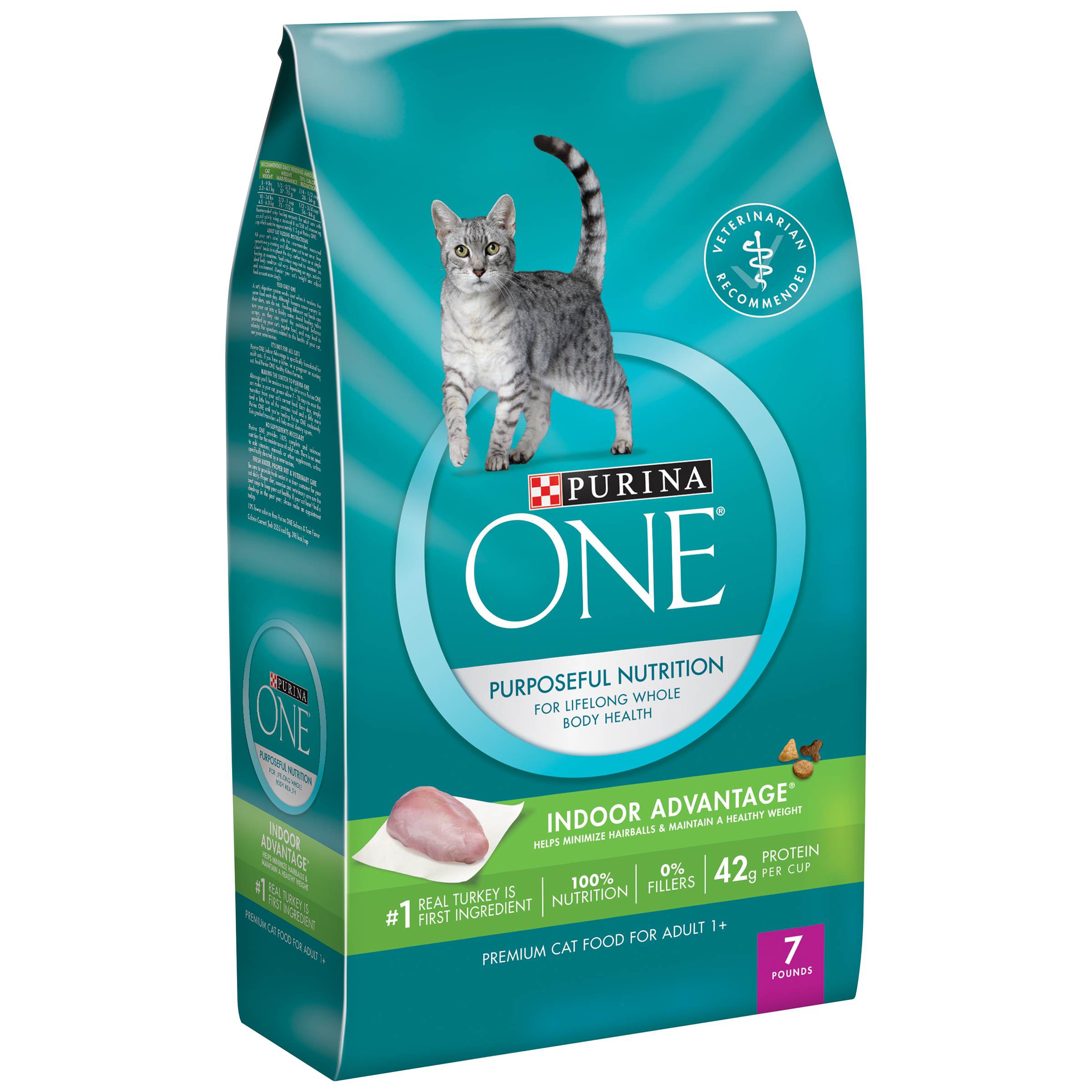 Free Purina One Pet Food The Jewish Lady